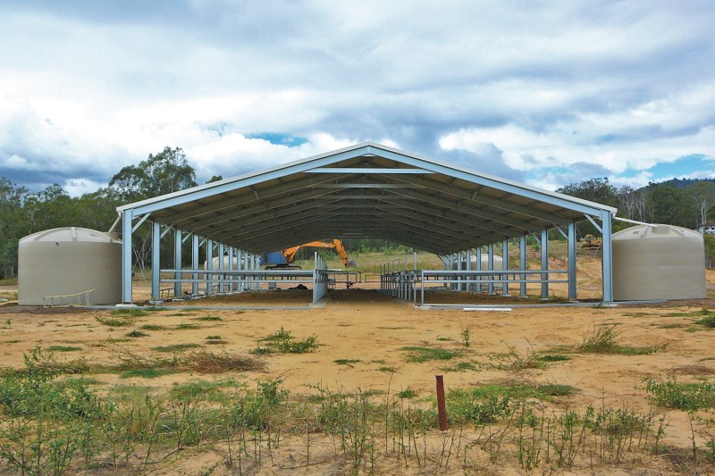 Equine Horse Riding Arena Roof only cover