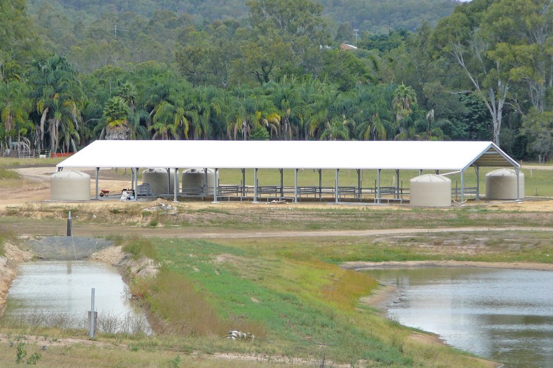 Equine Horse Riding Arena with colorbond roof