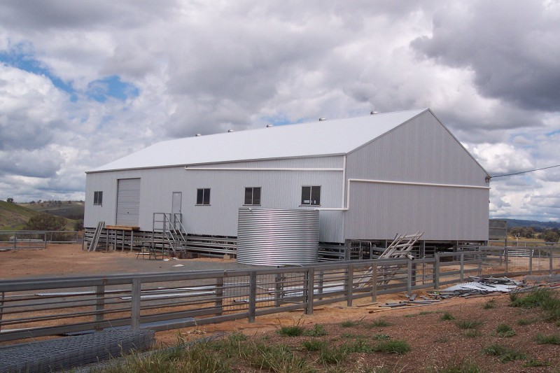 Gable roof shearing shed external view