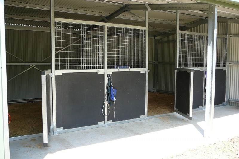 Open front horse stable shed with stalls