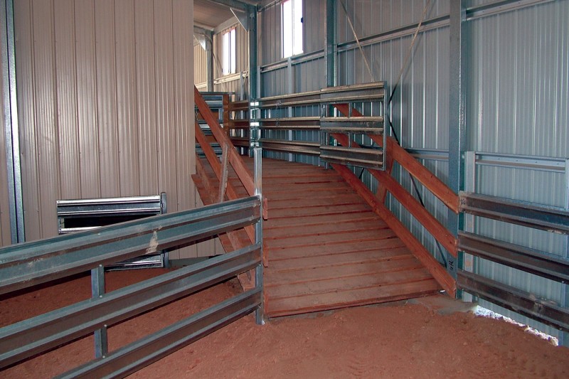 Shearing shed internal layout ramps