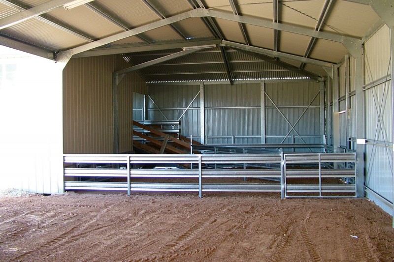 Shearing shed internal layout with holding pen