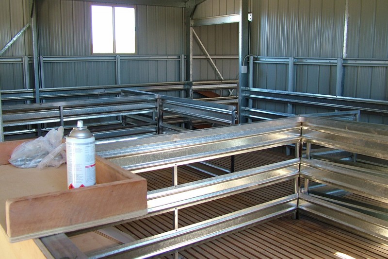 Shearing shed internal view holding pens