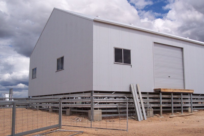 Shearing shed with corrugated cladding
