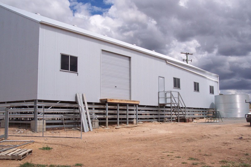 Shearing shed with roller door on one side